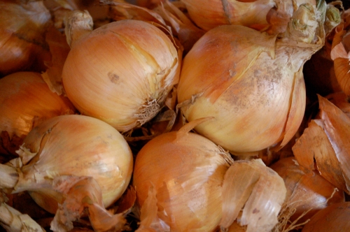 onionsstorage